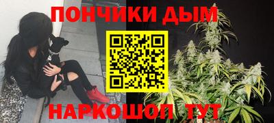 прущие крисы Моздок