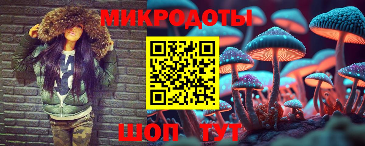 Псилоцибиновые грибы Magic Shrooms Волгоград