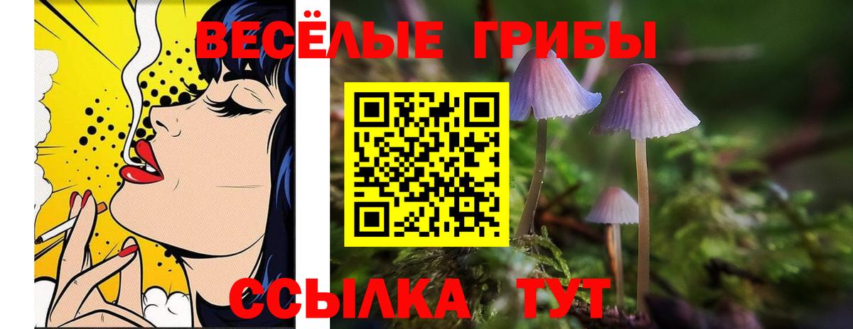 Волгоград  где продают   Вход с VPN  Галлюциногенные грибы ЛСД 